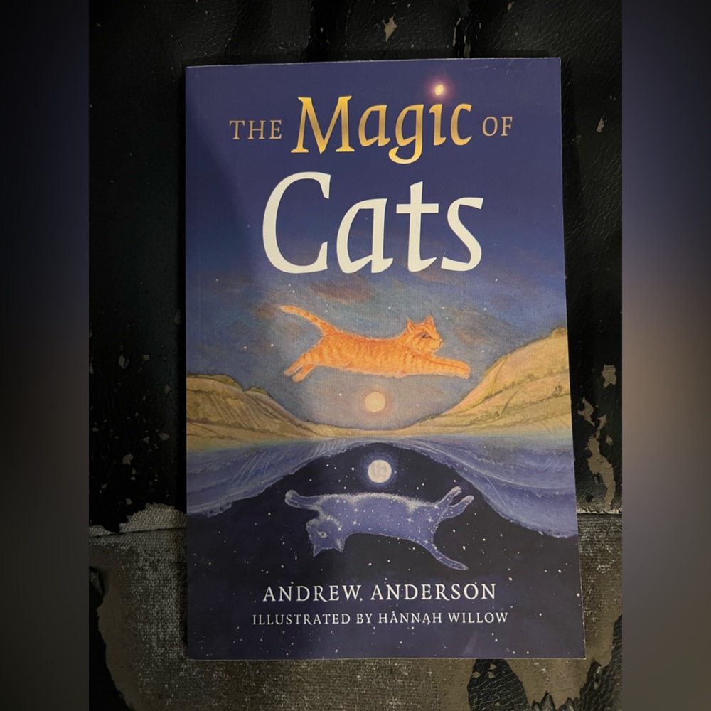 The Magic of Cats book